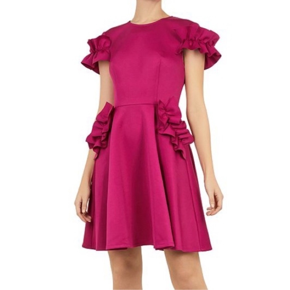 Ted Baker London Deep Pink Luuciee Fit & Flare Sheath Dress
